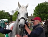 Flint Curtis Badminton 2009