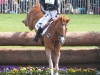 Badminton 2013: Photo Fiona Scott-Maxwell