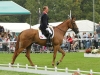 Burghley 2014 © Fiona Scott-Maxwell