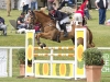Barbury 2015 © Lucy Hall