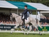 Oliver Townend and Ballaghmor Class, Burghley, 2018 © Trevor Holt