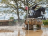 Mitsubishi Motors Badminton Horse Trials 2019 © Trevor Holt