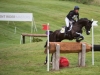 Cillnabradden Evo at Barbury Castle 2016 © Trevor Holt