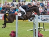 British Open Champions, Cillnabradden Evo at Festival of British Eventing 2016: Photo Trevor Holt