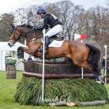 Oliver Townend and Finley du Loir, Thoresby © Hannah Cole