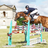 Oliver Townend and Crazy du Loir, Houghton © Hannah Cole