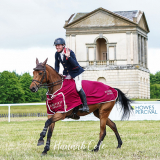 Oliver Townend and Crazy du Loir, Houghton © Hannah Cole