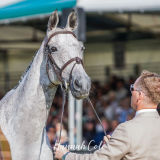 Burghley 2025 © Hannah Cole