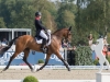 Oliver Townend  and Cooley Master Class, dressage phase © Trevor Holt