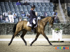 Oliver Townend & Cooley Master Class © Equigram