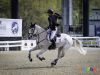 Oliver Townend &Ballaghmor Class © Equigram