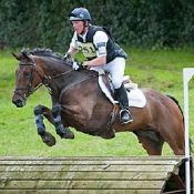 tn300_HandsDownX_horses