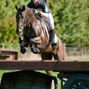 tn300_MayhemIII_allertonTH