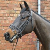 tn300_ODTFrenchConnection