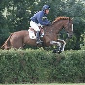 tn300_eldmirefoxy_knaptoftWW