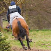 Oliver Townend and Cooley SRS
