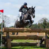 Arctic Mouse at Burnham Market